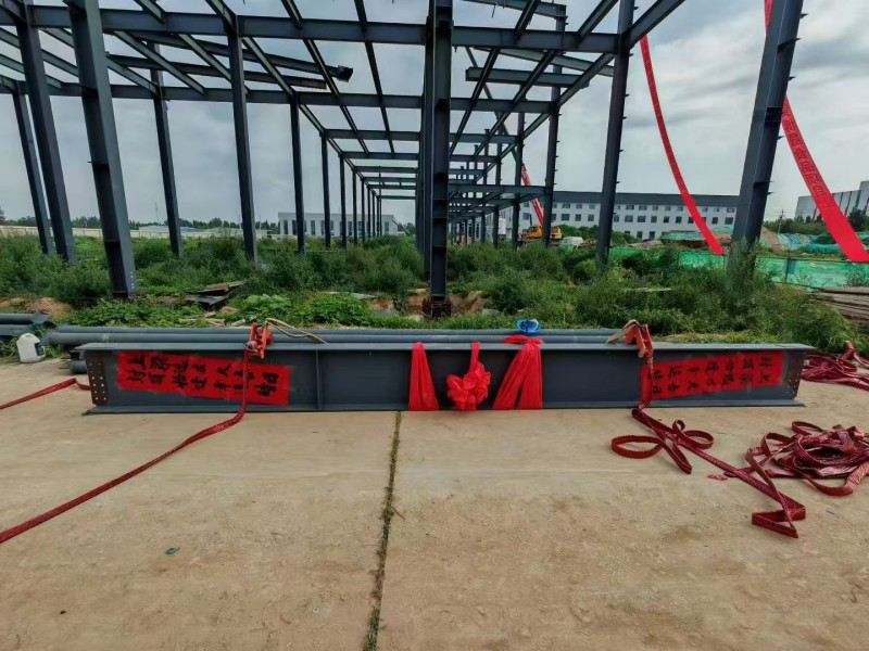 ​Yongcheng Xingye Steel Structure Company accelerated Construction of Hebei Bosheng Food Workshop